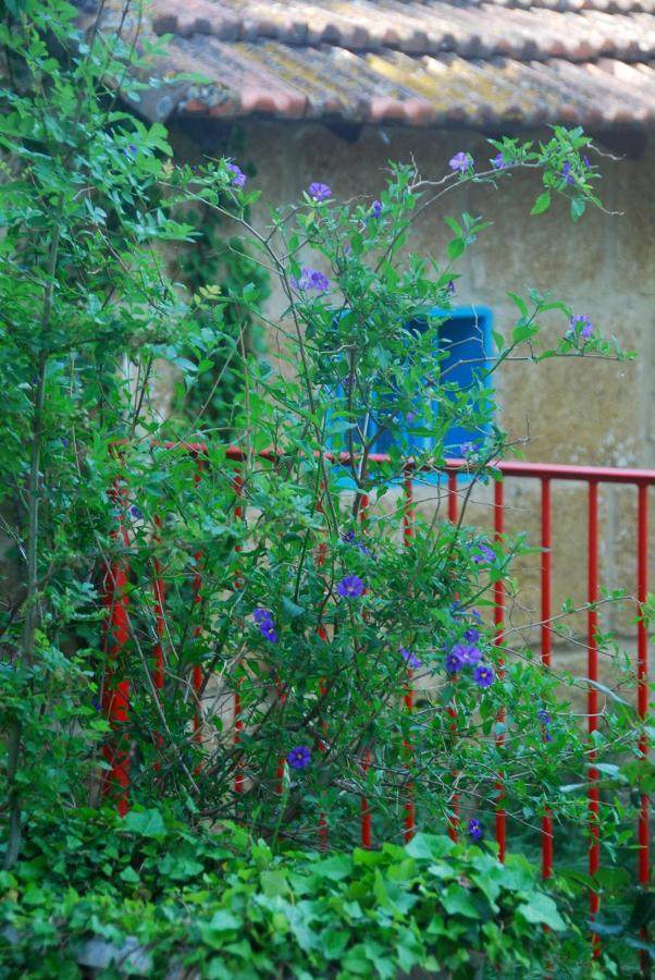 Les Volets Bleus Provence Villa Salon-de-Provence Dış mekan fotoğraf